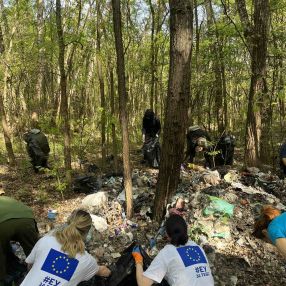 During the Big Spring Cleaning, about 10 tons of waste were removed in Subotica